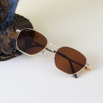 Ted Smith Retro Square Sunglasses(For Men & Women, Brown)