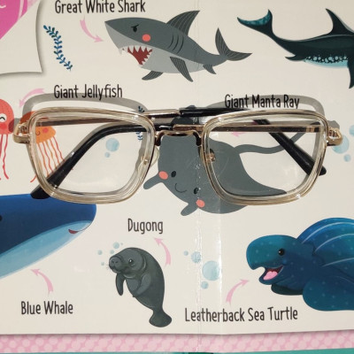 tiny kidzi Wayfarer Sunglasses(For Boys & Girls, Clear)