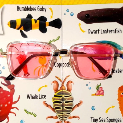 tiny kidzi Wayfarer Sunglasses(For Boys & Girls, Pink)