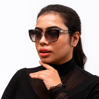 LeeMagni Cat-eye, Rectangular, Over-sized, Retro Square Sunglasses(For Men & Women, Brown)