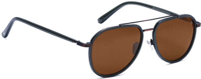 specsmakers Aviator Sunglasses(For Men & Women, Brown)