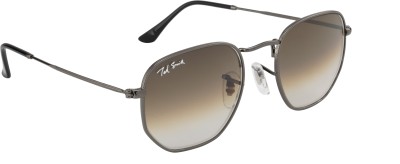 Ted Smith Wayfarer Sunglasses(For Men & Women, Brown)
