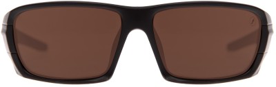 Chilli Beans Round Sunglasses(For Men & Women, Brown)