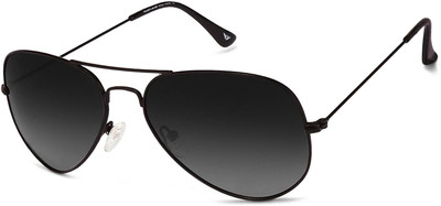 VINCENT CHASE by Lenskart Aviator Sunglasses(For Men & Women, Grey)