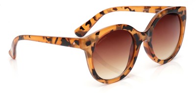 Fastrack Cat-eye Sunglasses(For Women, Brown)