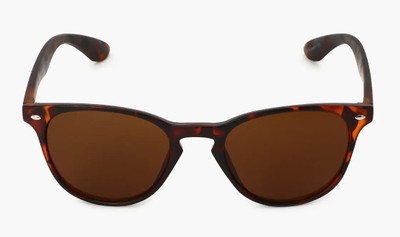 Sunnies Wayfarer Sunglasses(For Men, Brown)