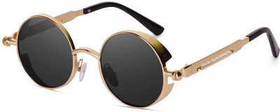 Dannilo Round Sunglasses(For Men & Women, Black)