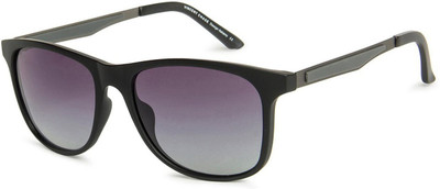 VINCENT CHASE by Lenskart Wayfarer Sunglasses(For Men & Women, Blue)