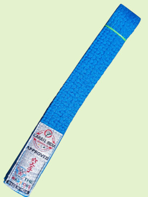 Dhaani Blue Professional Martial Arts Judo/Karate taekwando belt Abdominal Belt(Blue)