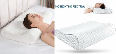 RUSHABH ENTERPRISE Memory Foam Fruits Sleeping Pillow Pack of 1(White)