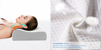 ANUSHKA ENTERPRISE Memory Foam Nature Sleeping Pillow Pack of 1(White)