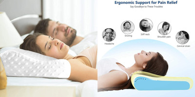 ANUSHKA ENTERPRISE Memory Foam Animals Sleeping Pillow Pack of 1(White)