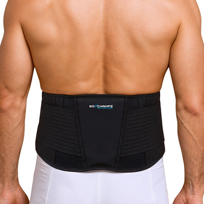 GoChamps Lower Back Support Back / Lumbar Support(Black)