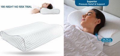 ANUSHKA ENTERPRISE Memory Foam Fruits Sleeping Pillow Pack of 1(White)