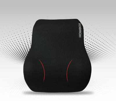 HOMBOX Large Backrest for Chair & Car Seat, Orthopedic Memory Foam Lumbar Support Back / Lumbar Support(Black)