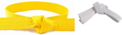 Addiction Martial Art Judo/karate/taekwondo belt RED and RED (set of 2pcs) Abdominal Belt