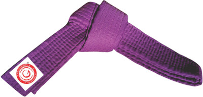 Gillz Sports Judo/Karate/Taekwando Martial Arts Belt Abdominal Belt(Purple)