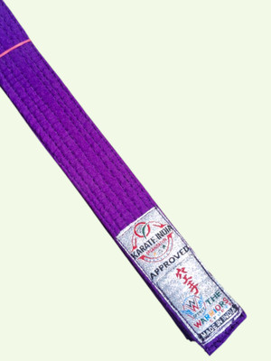Dhaani Purple Professional Martial Arts Judo/Karate taekwando belt Abdominal Belt(Purple)