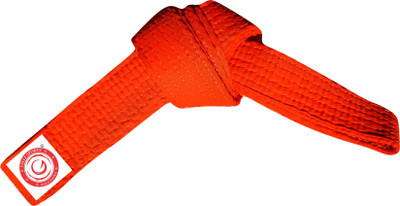 Gillz Sports Judo/Karate/Taekwando Martial Arts Belt Abdominal Belt(Orange)
