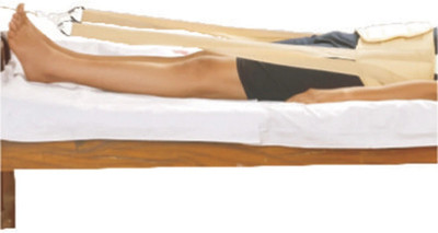 Dyna Pelvic Traction Appliance Full Set Back / Lumbar Support(Beige)
