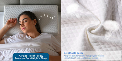 HIRUSH ENTERPRISE Memory Foam Fruits Sleeping Pillow Pack of 1(White)