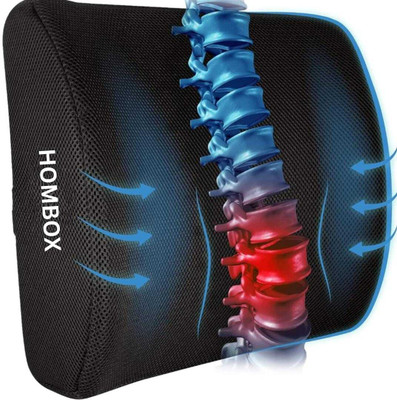 HOMBOX Large Backrest for Chair & Car Seat, Orthopedic Memory Foam Lumbar Support Back / Lumbar Support(Black)
