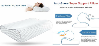 ANUSHKA ENTERPRISE Memory Foam Nature Sleeping Pillow Pack of 1(White)