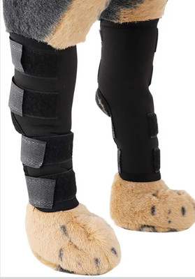 Dogfil Knee brace dgl Foot Support(Black)