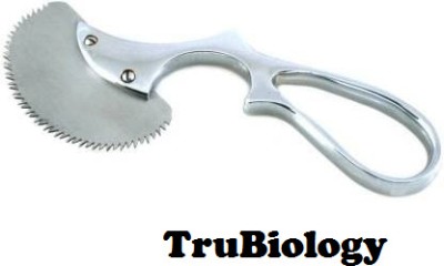 TruBiology Bone Plaster Cutting Saw Engel Forceps Surgical Bone Cutter(Manual)