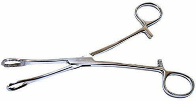 Ashnoor ZX-55 Sponge Forceps