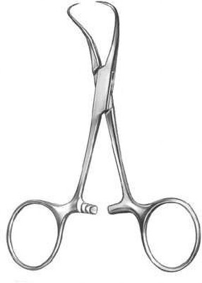 Forgesy Backhaus Surgical Towel Clamp 3 1/2 inches Stainless Towel Forceps