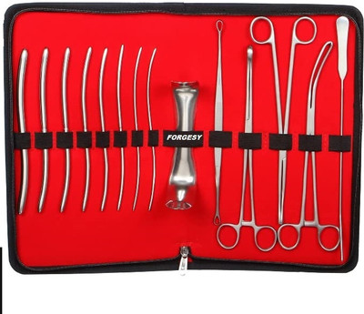 Forgesy D&C INSTURMENTAL UTILITY FORCEP Utility Forceps
