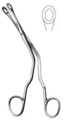 hospiclub Luc Nasal Forceps ENT Surgical Tissue Forceps for Medical Surgery Tissue Forceps