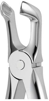 gplus Lower Dental Third Molar Forceps Tooth extraction Utility Forceps