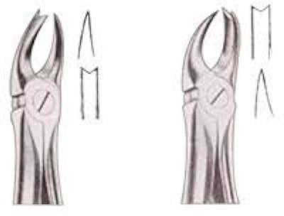 gplus Dental Cowhorn Forceps Left & Right (Pair) Tooth Extraction Utility Forceps