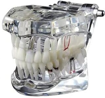 NMD Dental Tool all in one model (Pack of 1) Surgical Plier(Stainless Steel)