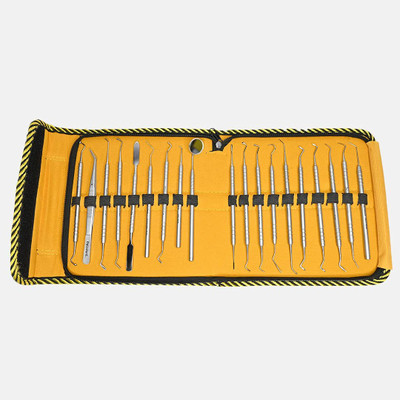 PRAKDENT Dental Polo Dent Conservative Instruments Kit, Set of 19pcs /no Surgical Plier(Steel)