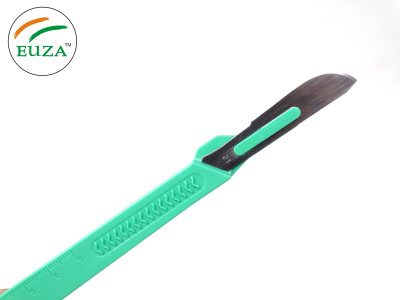 EUZA Disposable Scalpel Blades NO. 21 Sterile Surgical With Graduated Handle Surgical Scalpel(Pack of 2)