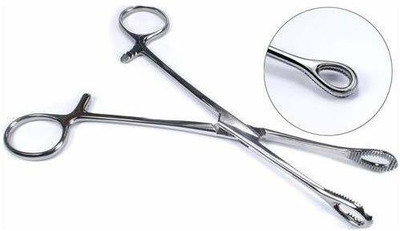 Forgesy Sponge Holding Forceps/Sponge Holder 8 Inch Straight Dissecting Scissors(Blunt/Blunt Blades)