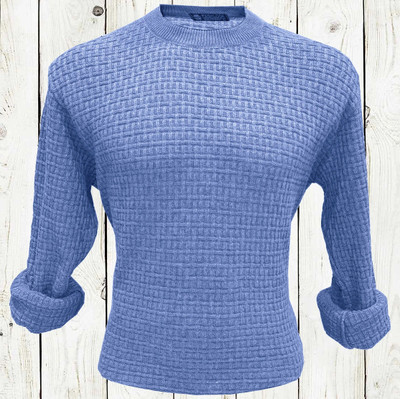 HOSUEOFCOMMON Solid Round Neck Casual Men Light Blue Sweater