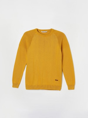 Fame Forever by Lifestyle Solid Round Neck Casual Boys Yellow Sweater