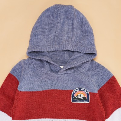 Pantaloons Junior Solid Hooded Neck Casual Boys Multicolor Sweater