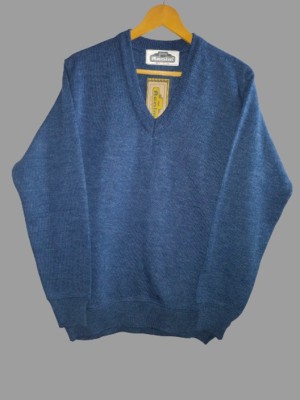 SAK Solid V Neck Casual Men Blue Sweater