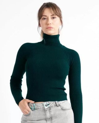 TENILA Solid Turtle Neck Casual Women Green Sweater