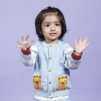 Kids of Greendeer Embroidered Round Neck Casual Baby Boys & Baby Girls Light Blue Sweater