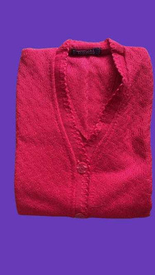 SHRIGANESH ENTERPRISES Solid V Neck Casual Women Pink Sweater