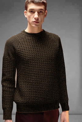FREAKS Solid Round Neck Casual Men Brown Sweater