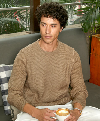 CAMPUS SUTRA Solid Round Neck Casual Men Brown Sweater