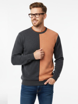 FORWARDS Striped Round Neck Casual Men Grey Sweater