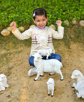 Mi Arcus Solid Round Neck Casual Girls White Sweater